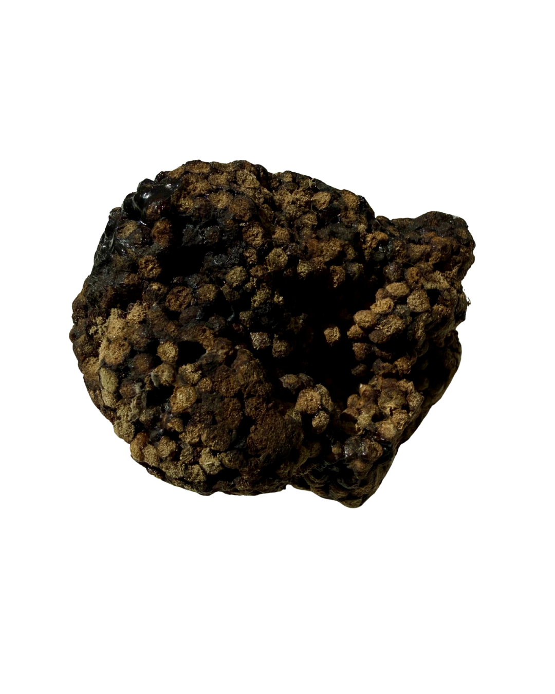 C-Grade Shilajit
